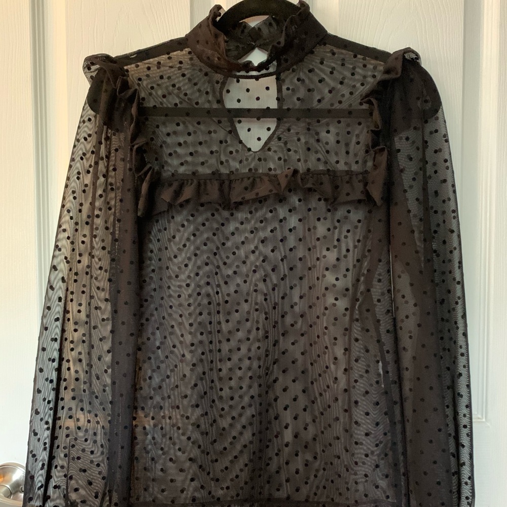 Mesh Swiss dot blouse